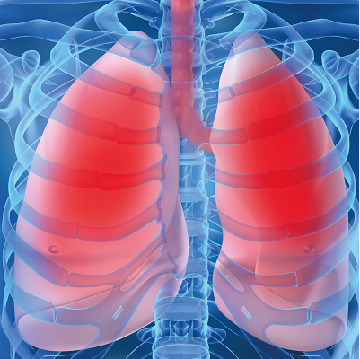 15th edition of the Respiratory Oncology Update