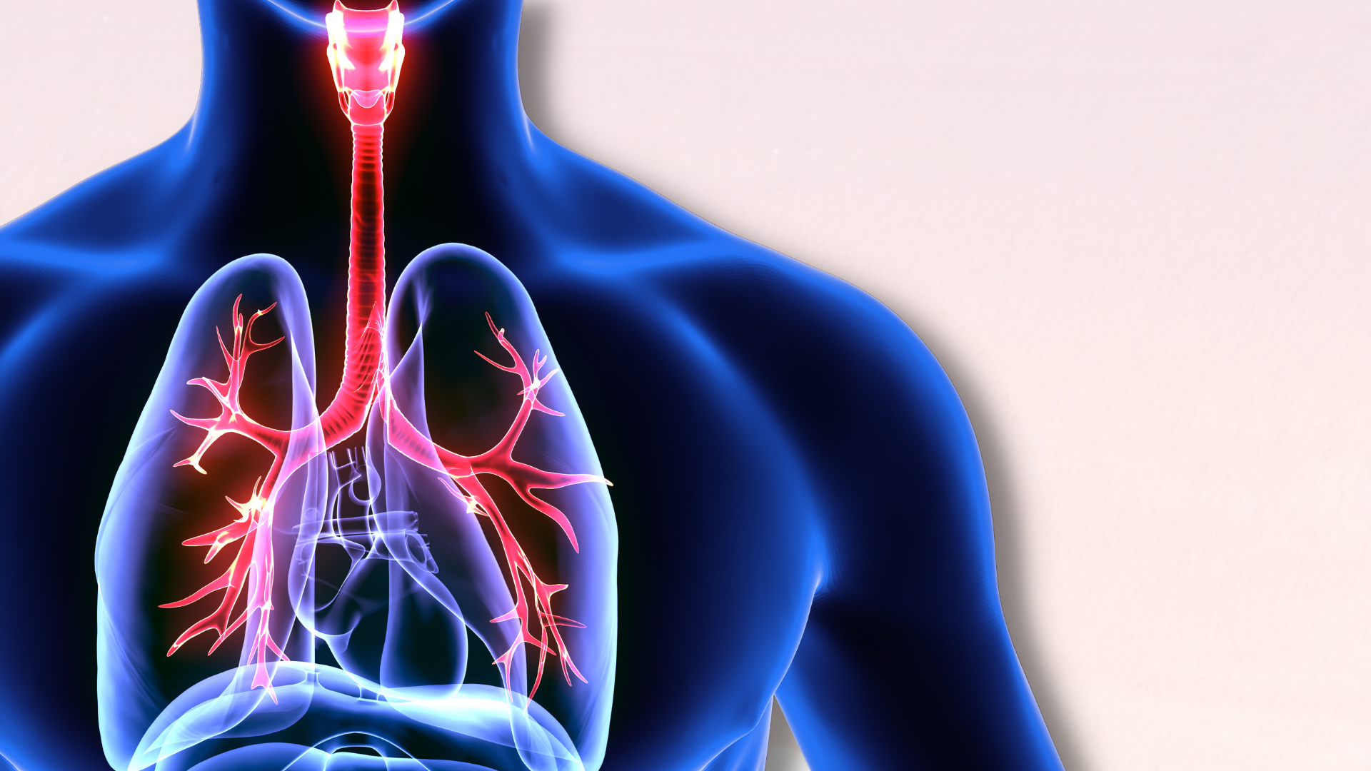 (REO) Respiratory Oncology Update Meeting - 2026